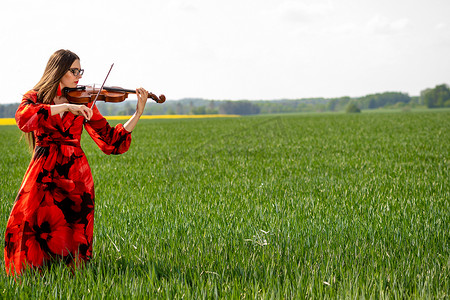 身穿红裙的年轻女子在绿色草地上拉小提琴 — 图片