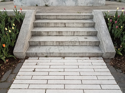 郁金香logo摄影照片_灰色水泥楼梯或带郁金香的台阶