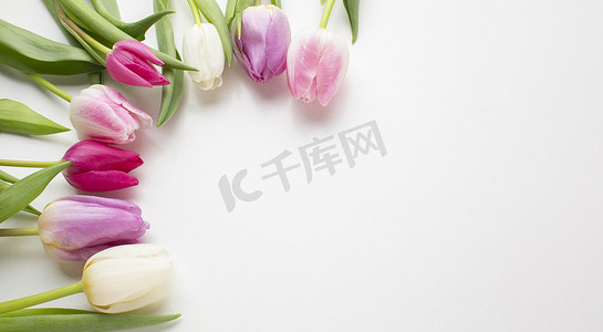 春天郁金香花摄影照片_顶视图郁金香花与复制空间。