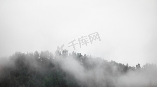 大气商务通用摄影照片_浓雾笼罩着挪威的森林。