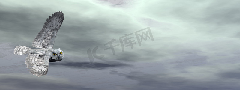 云条形摄影照片_灰色猫头鹰- 3D渲染