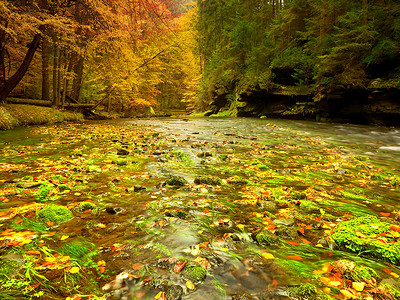 秋天的山河，波浪模糊，新鲜的绿色青苔石头和巨石