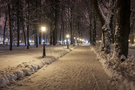 夜晚下雪摄影照片_冬季公园的夜晚。