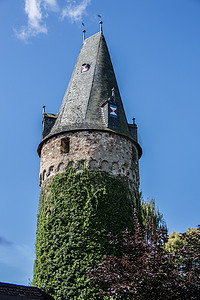 Dierdorf Westerwald 的猫头鹰塔