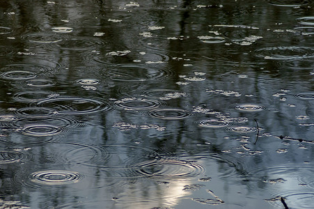 小雨中公园池塘