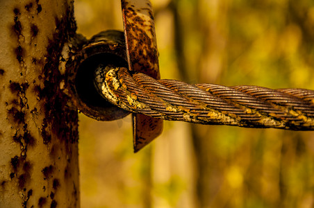 繁茂的树木摄影照片_焊接到金属杆上的钢丝边界绳的特写图像，用于在树木繁茂的区域创建安全边界。