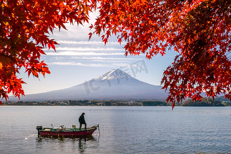 秋天的富士山与红枫叶