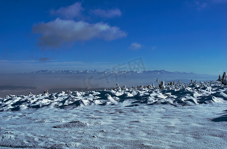 中国风云纹插画摄影照片_波兰冬季塔特拉山白雪覆盖的云杉景观