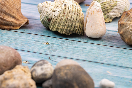 海洋主题背景摄影照片_蓝色木质背景上的岩石和贝壳。海洋主题