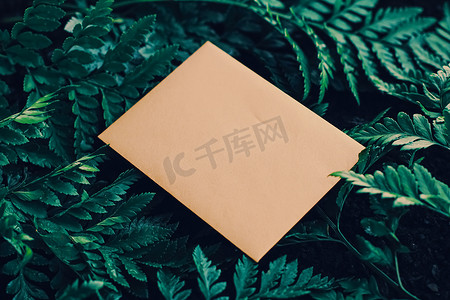 大自然中的空白信封和绿叶、背景纸卡、信件和时事通讯