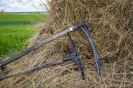 中共镰刀摄影照片_在田里的干稻草上耙子和镰刀