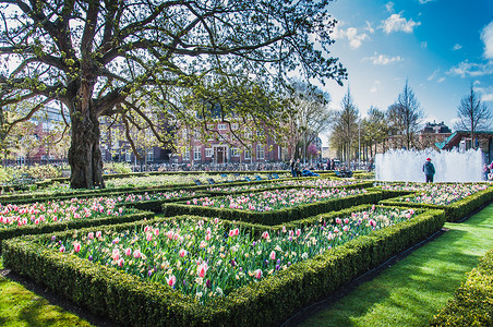 阿姆斯特丹国立博物馆及其花园及周边地区