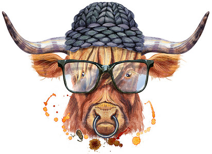 戴帽子的奶牛摄影照片_一头戴着眼镜和黑帽的棕色长角公牛的水彩插图