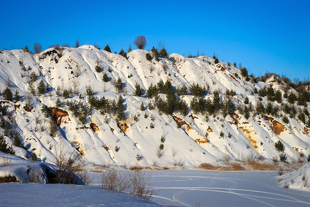 冬天覆盖着白雪的山丘上有松树和树木。