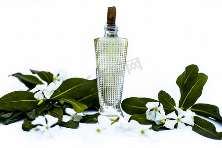 关闭年度长春花或马达加斯加长春花或萨达巴哈或萨达巴哈的香水或喷雾在透明玻璃瓶中，原花隔离在白色。