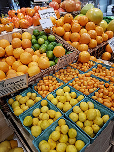 柑橘类水果、橙子、柠檬、金橘和酸橙的托盘
