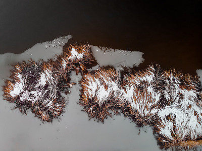 从空中拍摄的芦苇植物被雪覆盖在冰和水上。