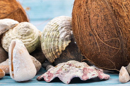 海洋主题背景摄影照片_蓝色木质背景中的椰子、岩石和贝壳。海洋主题