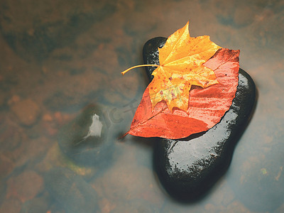 水晕摄影照片_山河模糊水中玄武岩上枫树的折叶。