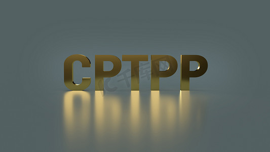 cptpp 或 Trans P 全面进步协议