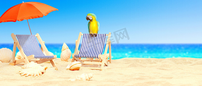 热带海滩上的鹦鹉在太阳伞下的躺椅上晒太阳。