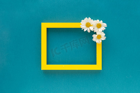 黄色边框空白相框装饰着白色雏菊花蓝色背景。