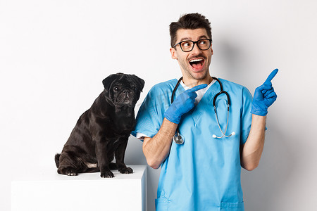 兽医诊所帅气的年轻医生指着右上角，看起来很惊讶，站在可爱的黑色哈巴狗旁边，白色背景