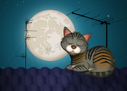 月光下的猫摄影照片_月光下屋顶上的猫