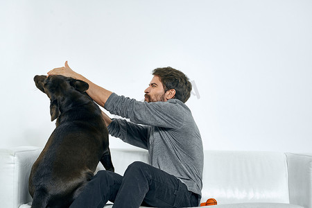男主人在沙发上和狗玩耍训练有趣的光室朋友宠物