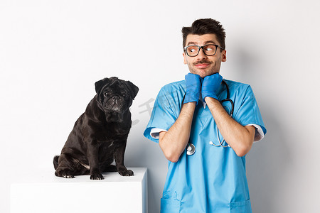 英俊的男性医生兽医的形象看着可爱的黑色哈巴狗坐在桌子上，欣赏小狗的可爱，站在白色背景上