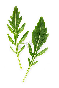 绿色菜叶摄影照片_孤立在白色背景上的芝麻菜叶。