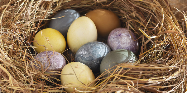 复活节组合物 — 用天然染料涂在一窝干草、水平横幅上的彩色复活节彩蛋