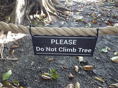 树和根摄影照片_请不要爬上绳子、树和树叶上的树标志