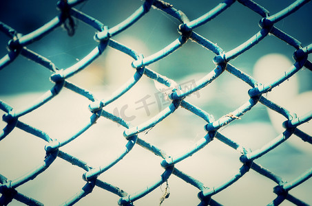 铁网摄影照片_绿色金属铁网背景。