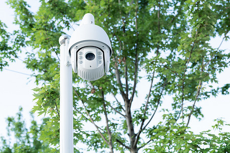 监控摄影照片_户外安全闭路电视监控树背景上的白色