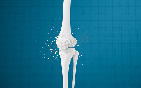 骨骼健康摄影照片_腿骨和膝盖，3D 渲染。