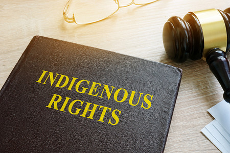 关于土著权利法和木槌的书。