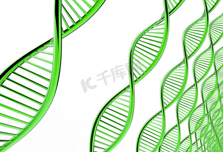 双胞胎dna摄影照片_DNA 链的图像