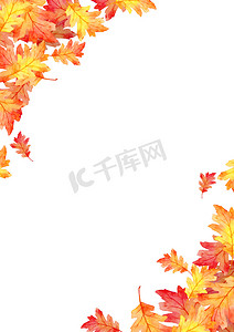 红色叶子框架在秋天概念隔绝在白色背景。