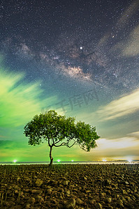 银河系摄影照片_春蓬府春蓬海滩上的一棵树。