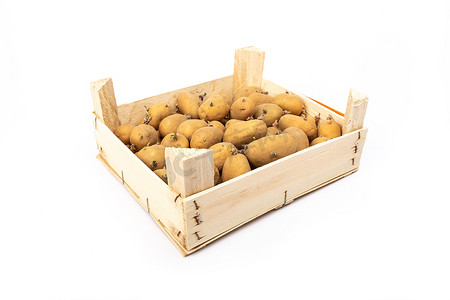 一箱发芽的马铃薯植物准备种植