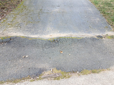 破旧的沥青车道，下面有树根