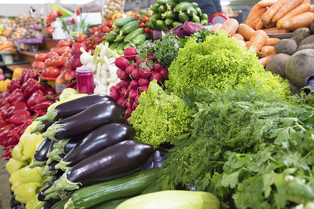 榨萝卜汁摄影照片_生菜、莳萝、欧芹、茄子、萝卜、西葫芦等多汁蔬菜在市场柜台上出售