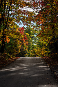 西弗吉尼亚州 Coopers Rock 州立公园的道路，秋色
