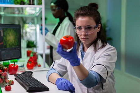 在药物实验中分析有机番茄的女科学家研究员