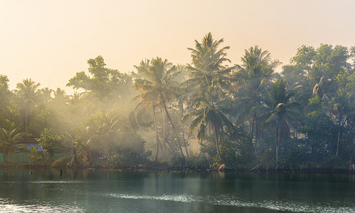 棕榈树丛林与大气阴霾在日落时，沿着 fr