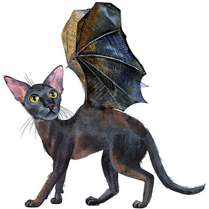 带蝙蝠翅膀的水彩东方黑猫。
