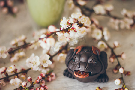 线条茶摄影照片_樱花中的金钱蟾蜍日本青蛙