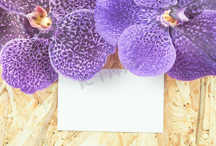旅行邀请函摄影照片_木质背景上的紫色万代兰花，空白纸张空间用于文本