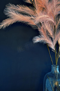背景干粉红色潘帕斯草时尚现代装饰，干草现代家居室内质感